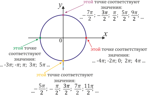 Точки, соответствующие многим числам в числовом круге