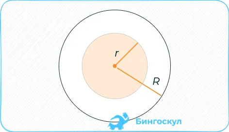 Кольцо окружности: разница между площадью кольца и окружности.
