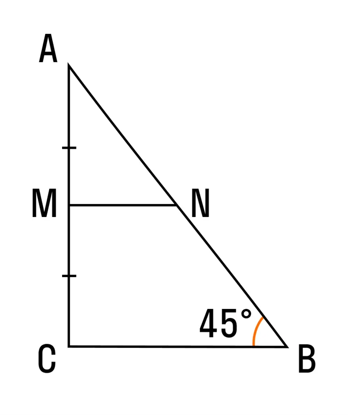 Средняя линия правого треугольника
