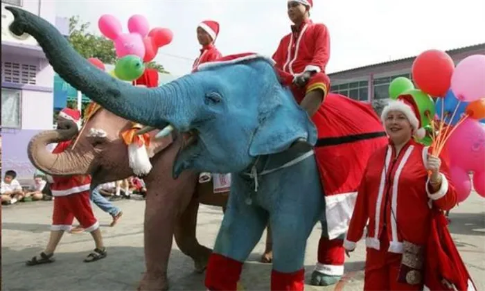 Слоны идут по улице