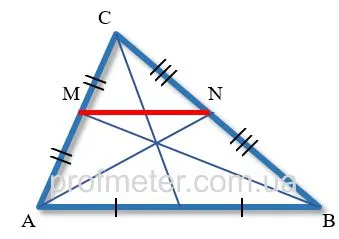 Средняя линия треугольника соединяет две точки центрального края волос по бокам треугольника.