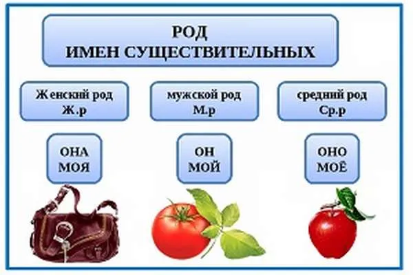Род русских существительных