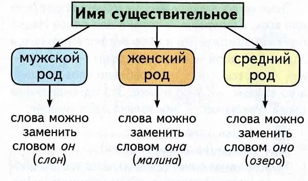 Род русских существительных