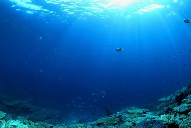 Средняя глубина Тихого океана составляет 4000 метров