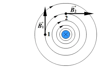 Направление векторов магнитной индукции, пример 1