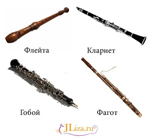 Деревянные духовые - флейта, кларнет, гобой, фагот