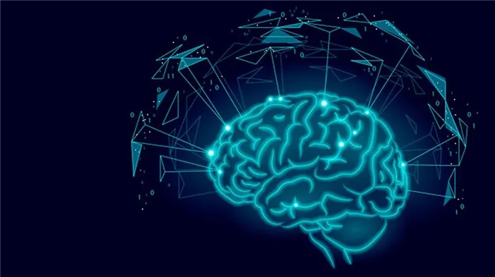 Человеческий мозг и мышление