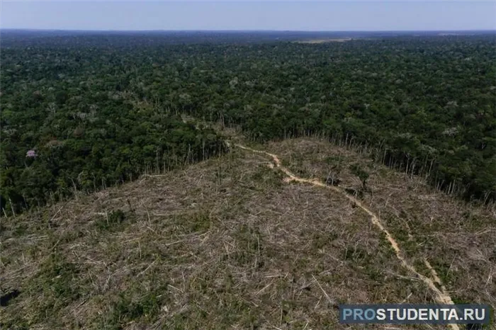 Обезлесение в регионе Амазонки