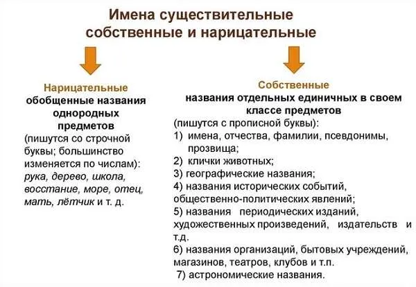 Русские обычные и распространенные существительные.