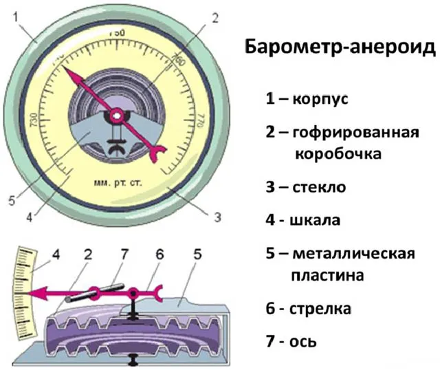 Структура барометра