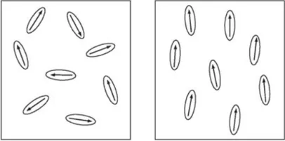 В некоторых металлах индивидуумы структурируются и объединяются в группы - области - с помощью небольших магнитов. В состоянии покоя кусок стали не обладает магнитными свойствами, но когда к нему прикладывается поле, эти участки располагаются в одном направлении и силовые линии складываются друг с другом.