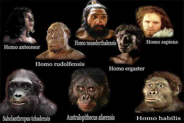 Как люди появились на Земле: теории и гипотезы о предковом происхождении современных видов