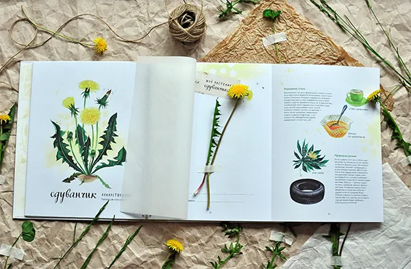 В обеих книгах серии есть специальные страницы с бумагой для рисования для коллекционирования даров природы. Листы изготовлены из плотной бумаги и подпружинены, чтобы предотвратить деформацию книги. Каждое растение может быть подписано - где и когда оно было найдено.