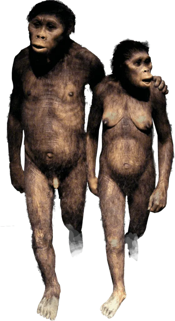 Эволюция человека - древний человек и этапы развития 1