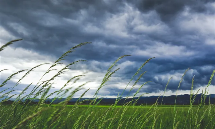 На полях и равнинах дуют самые сильные ветры, что обусловлено климатом.