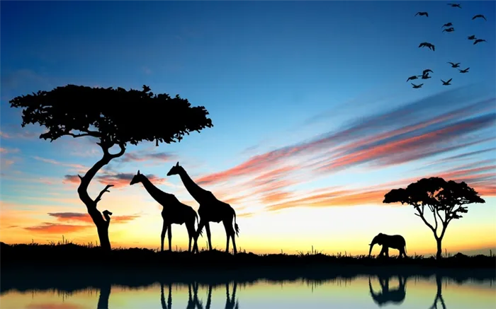 Самое высокое животное в саванне - жираф.