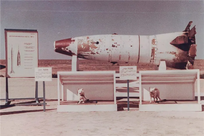 Пусковая установка Р-2А с двумя испытательными собаками (Пальма и Кусачка) на полигоне ЯР Капустин.
