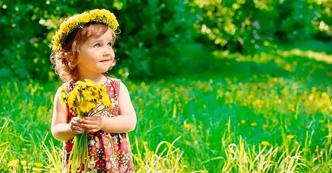 Польза цветов одуванчика для здоровья детей
