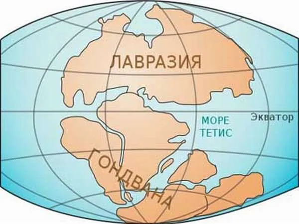 Что такое континенты? Сколько континентов на планете?