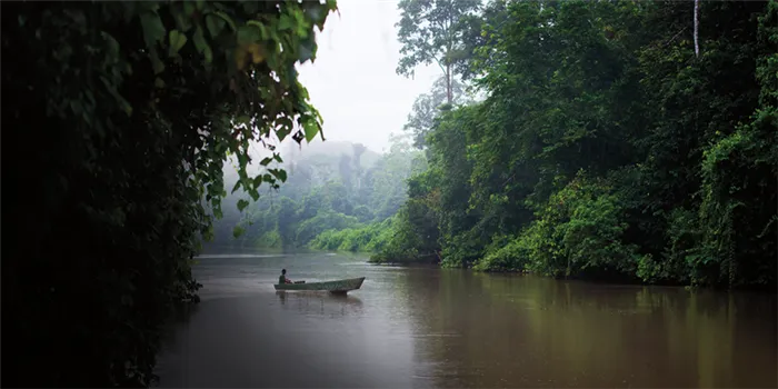 В каком направлении течет река Амазонка?
