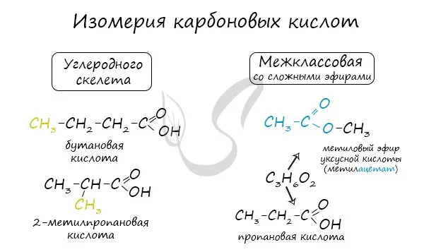 Изомеры карбоновых кислот