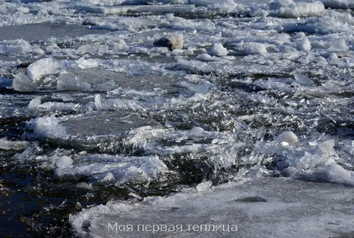 Лед у берега. Красивые иголки в воде.