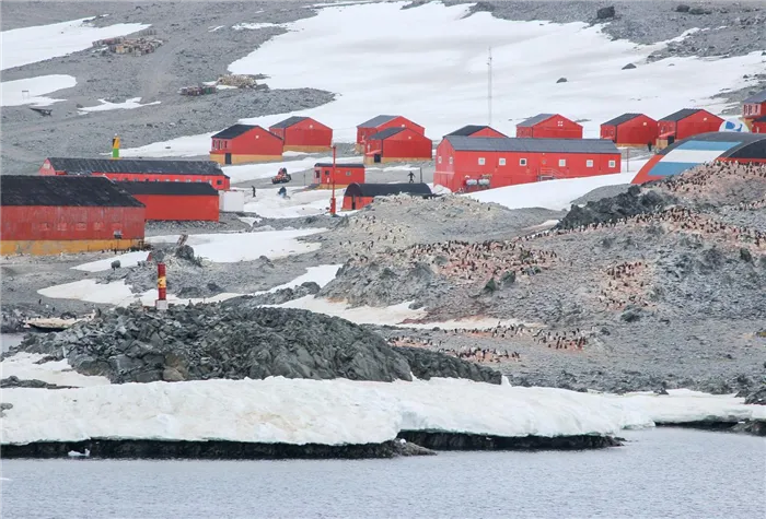 Антарктические и полярные исследовательские станции, российские базы: где они расположены?