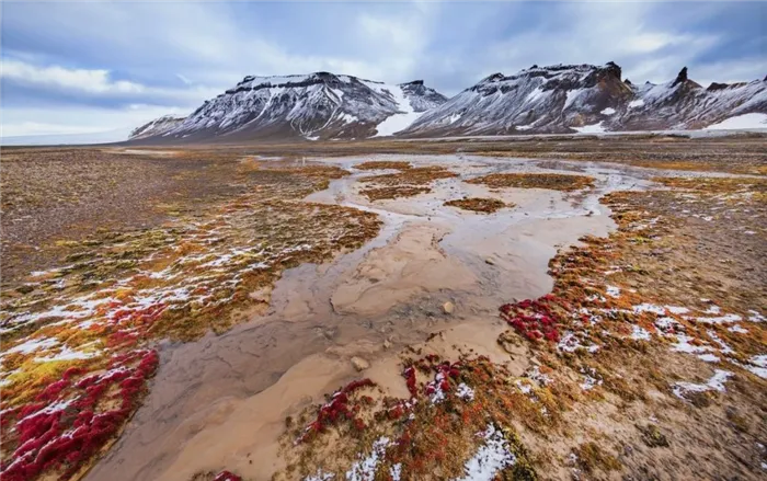 Фотографии пустынных арктических земель летом