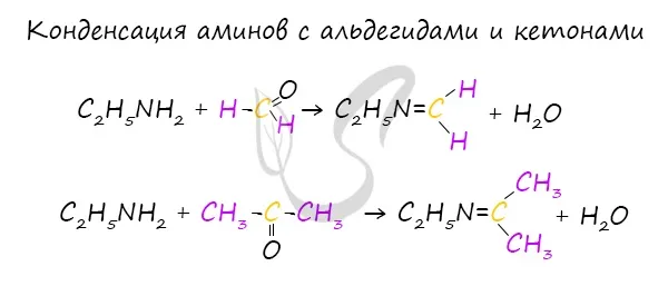 Реакция аминов с кислотами