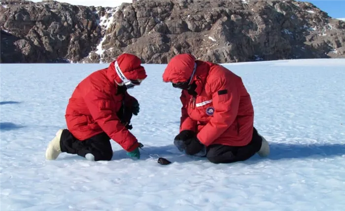 Исследователи обнаружили новые метеориты в Антарктиде.