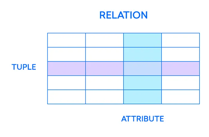 Пример диаграммы, отражающей связь отношений, кортежей и атрибутов друг с другом