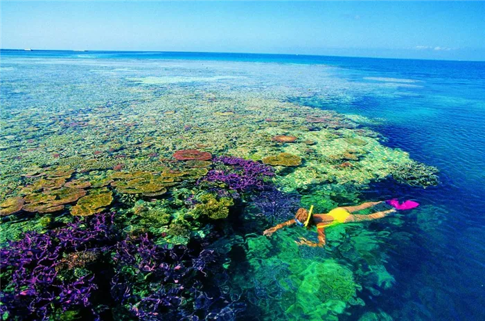 Большой Барьерный риф Австралия фото