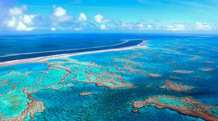 Большой барьерный риф, Австралия. Где находится, чем знаменит. Описание, информация, пролив Кука