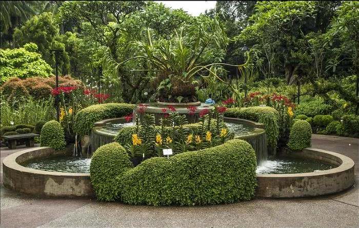 Сингапурский ботанический сад