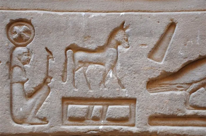 Египетские иероглифы и их значение