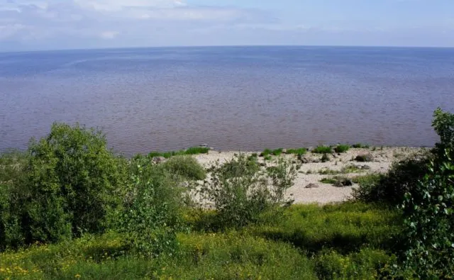 Где находится озеро Ильмень и чем оно знаменито