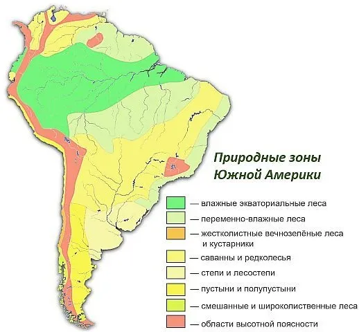 Экваториальные леса Африки и Южной Америки. Фото, растительность и животные, климат