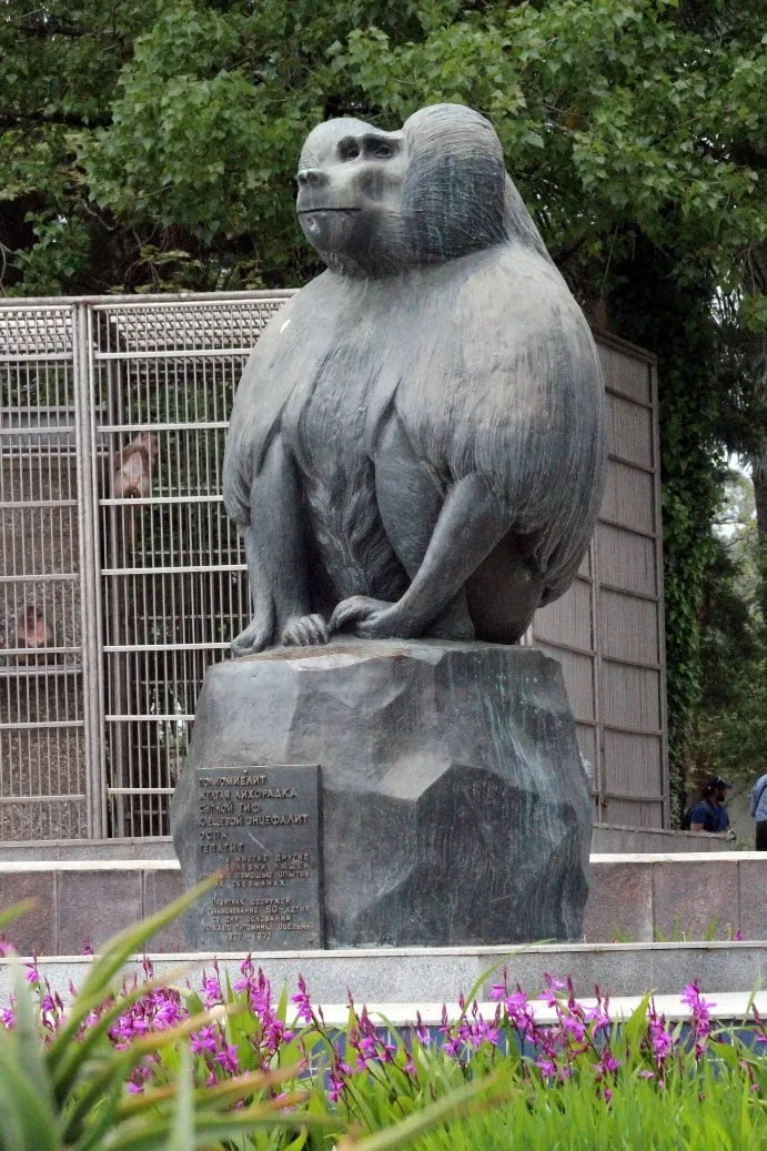 Памятник павиану-гамадрилу