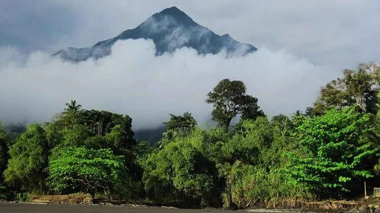 Вулкан Камерун