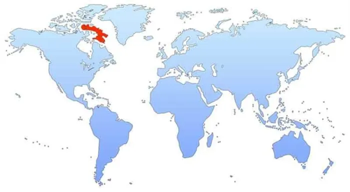 остров на карте мира