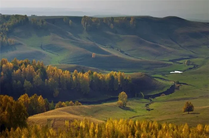 Геологическое строение России — особенности формирования платформ, складчатых поясов и щитов