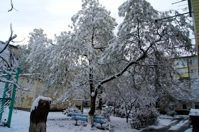 Зима в Черкесске