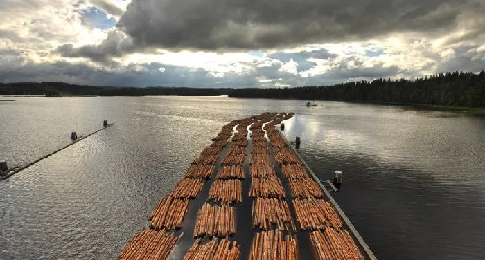 Сплав древесины по реке