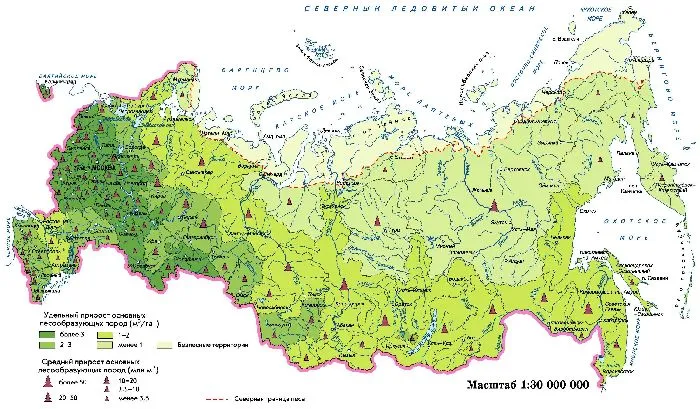 Лесное хозяйство России на мировой карте