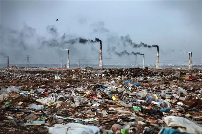 Загрязнение, как основная экологическая проблема в мире