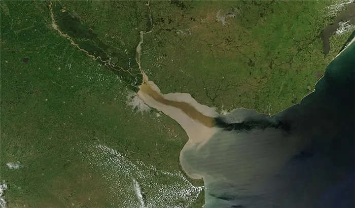 Река Парана, эстуарий, фотография из космоса