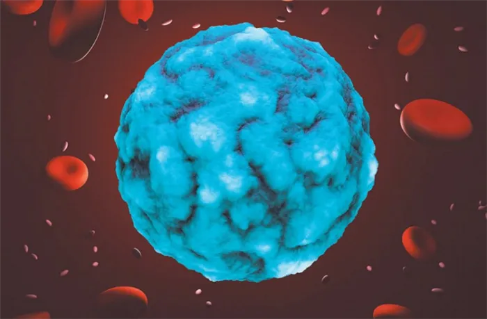 Вирус и клетки крови