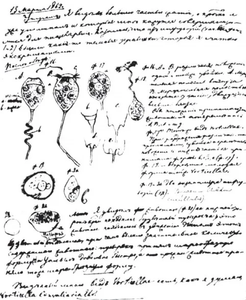 Неопубликованные записи наблюдений инфузорий И. И. Мечникова