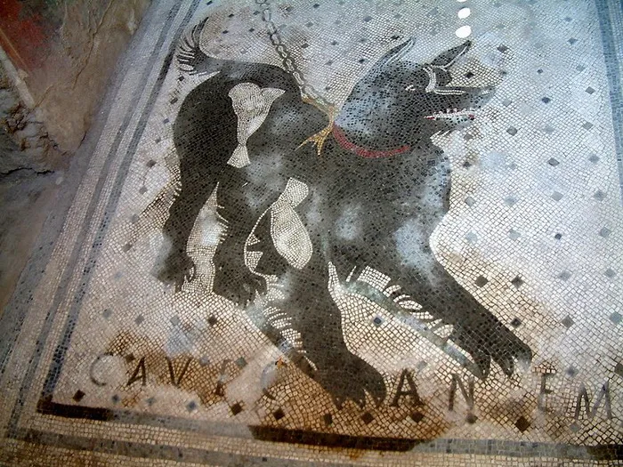 У порога римских вилл часто размещали мозаичную собаку
