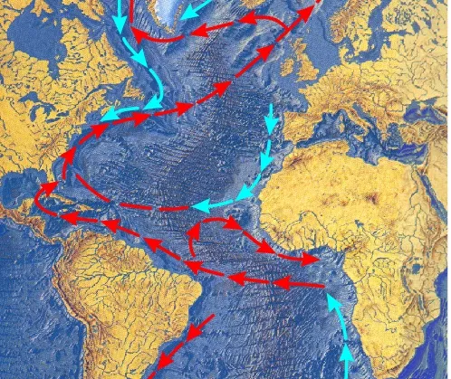 морское течение атлантического океана